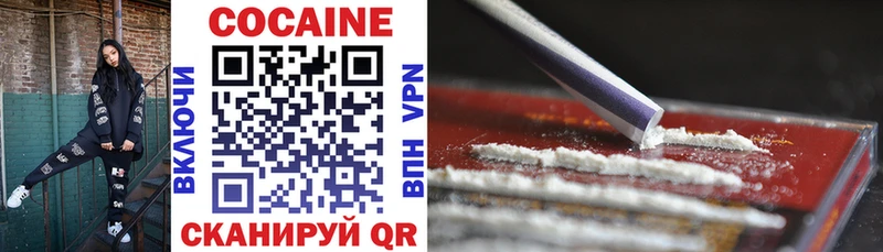 Купить где  Пошехонье  COCAIN 98% 
