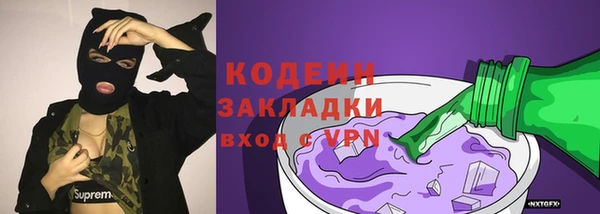 тгк Вяземский